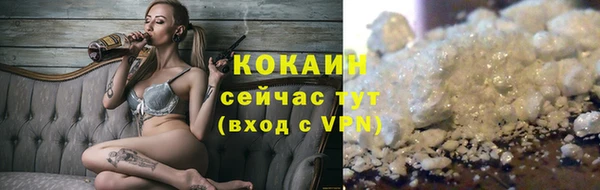 дживик Алзамай