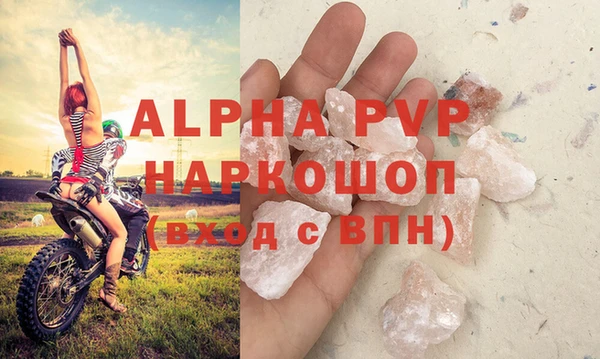 индика Новозыбков