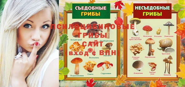 дживик Алзамай