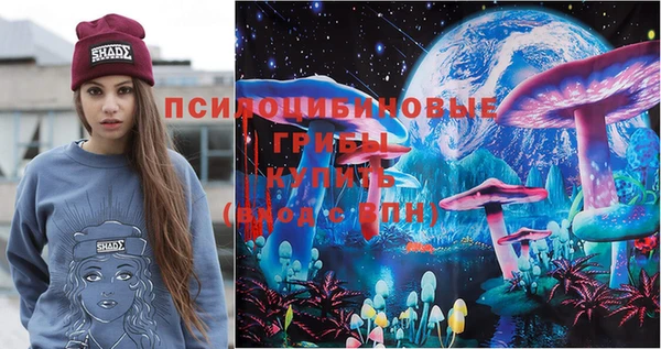 ГАЛЛЮЦИНОГЕННЫЕ ГРИБЫ Алексеевка