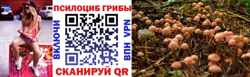 Галлюциногенные грибы Magic Shrooms Билибино
