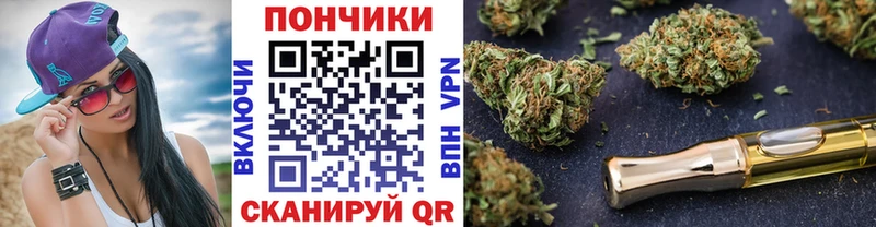 Каннабис сатива  купить наркоту  Билибино 